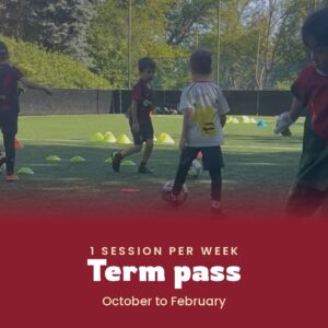 1 session per week — Term pass
