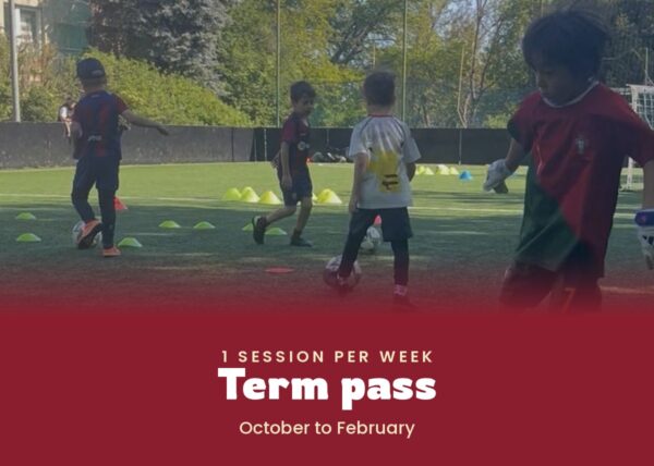 1 session per week — Term pass