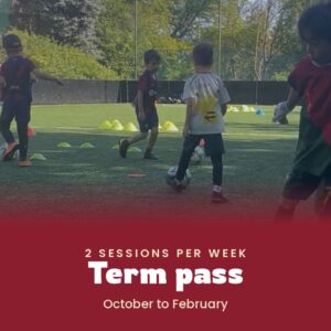 2 sessions per week — Term pass