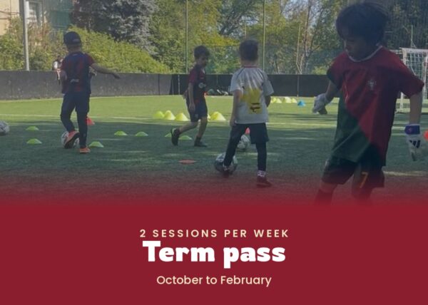 2 sessions per week — Term pass